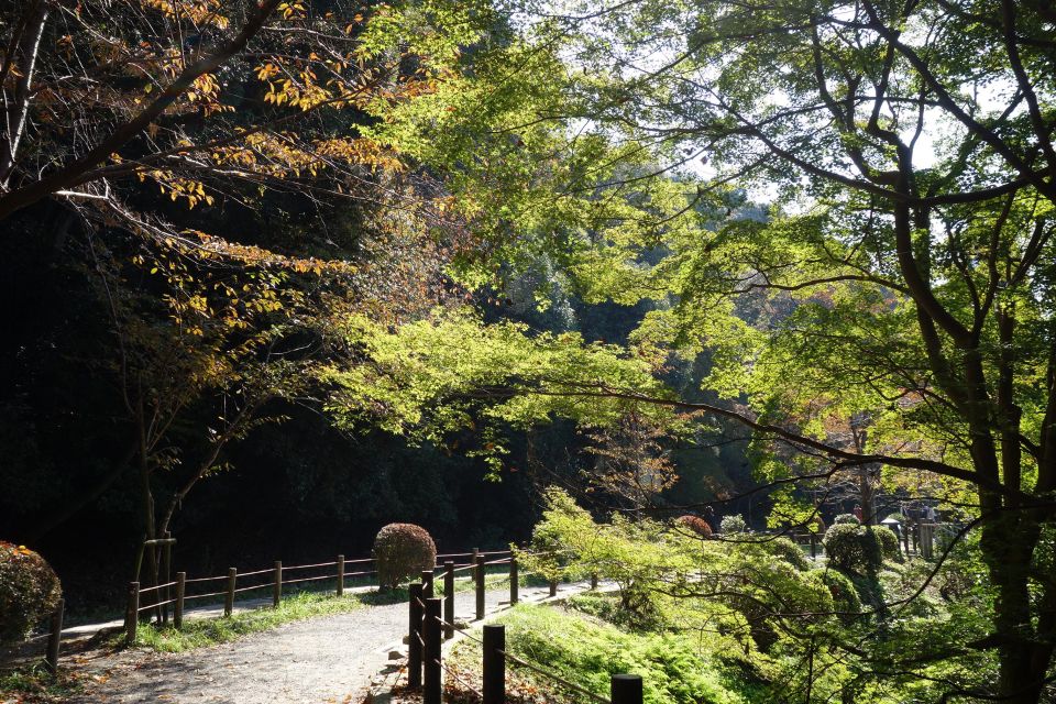 Kyoto: Ginkakuji and the Philosophers Path Guided Bike Tour - Key Takeaways