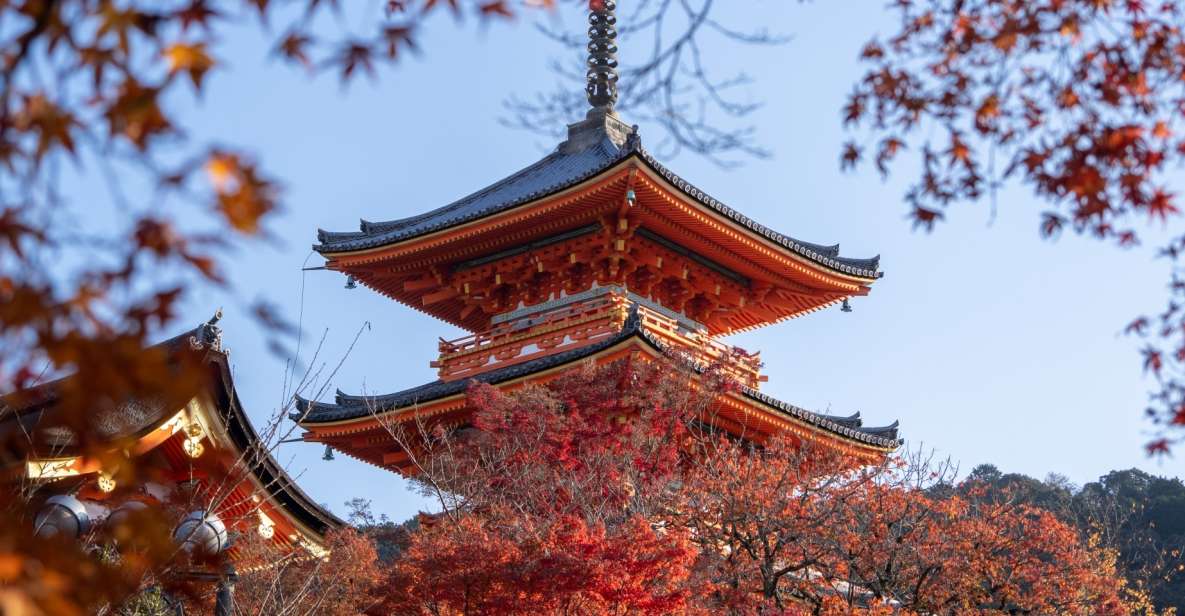 Kyoto: Personalized Guided Private Tour - Just The Basics