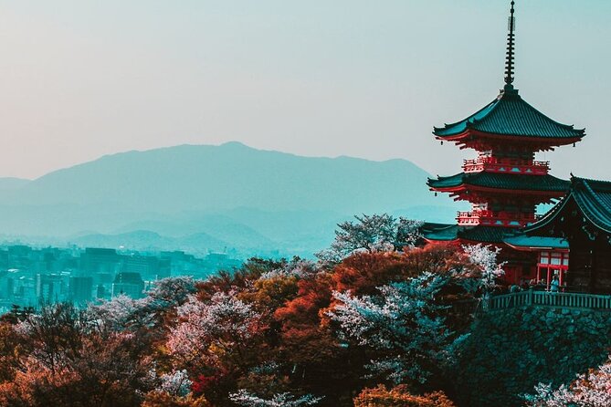 Kyoto : Private Walking Tour With a Guide (Private Tour) - Key Takeaways