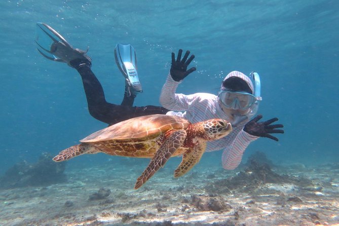 [Miyakojima Snorkel] Private Tour From 2 People Lets Look for Sea Turtles! Snorkel Tour That Can Be - Key Takeaways