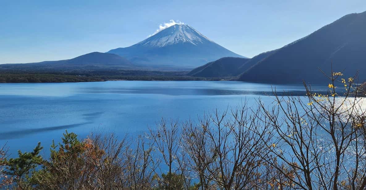 Mt Fuji and Hakone Private Tour With English Speaking Driver - Just The Basics
