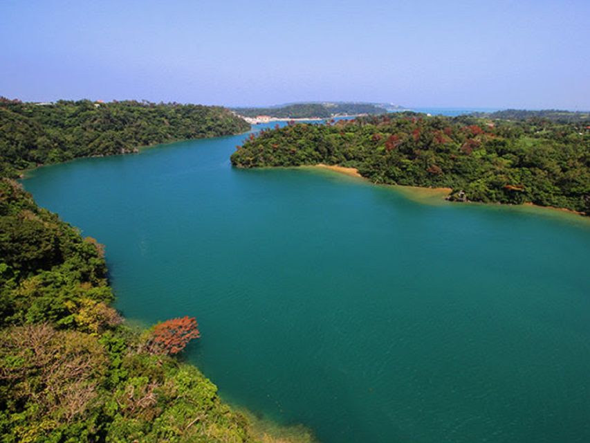 Naha: North Okinawa Sightseeing Tour & Churaumi Aquarium - Key Takeaways