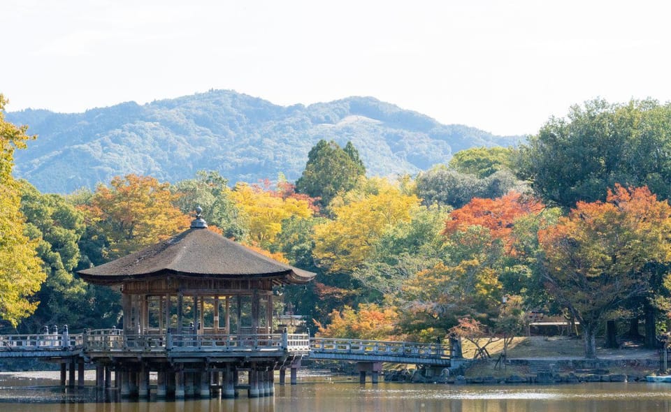Nara: Private City Tour With A Local Guide - Key Takeaways