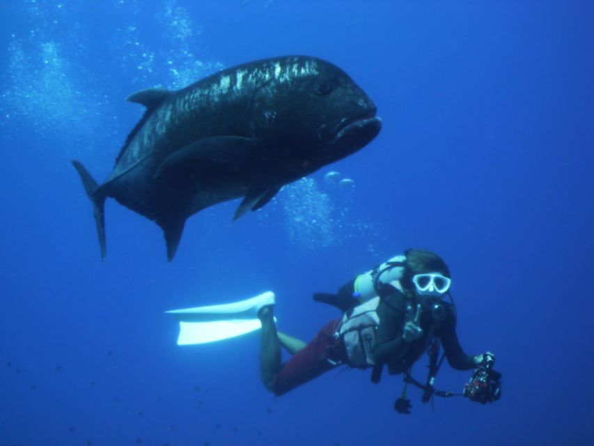 National Park Kerama Islands 2 Boat Fan Diving (With Rental) - Key Takeaways