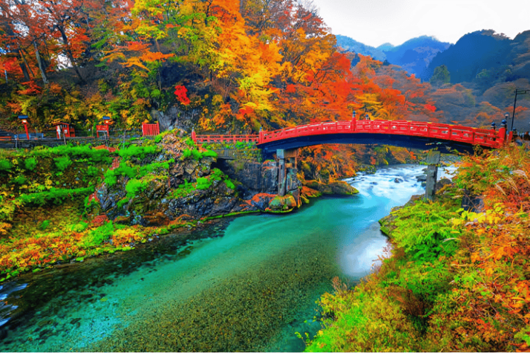 Nikko Private Full-Day Sightseeing Day Tour