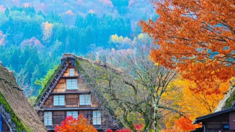 One Day Private Tour to Shirakawa-go & Takayama - Just The Basics