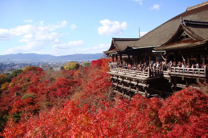 PERFECT KYOTO 1Day Bus Tour - Key Takeaways