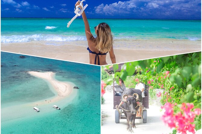 Phantom Island Snorkeling Taketomi Island Sightseeing - Key Takeaways