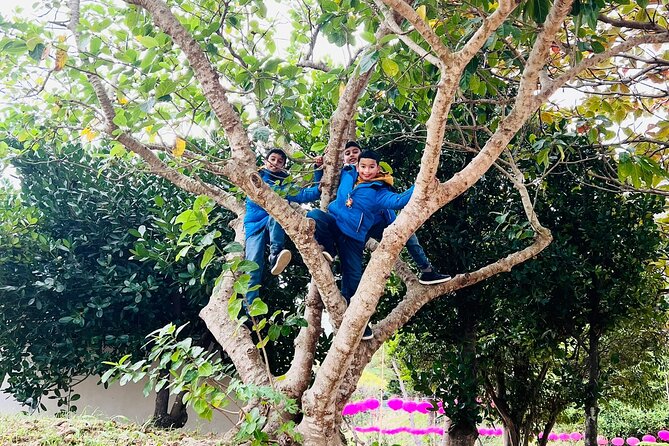 Port Pick-Up: Naha Private Tour Licensed Guide& Vehicle - Key Takeaways