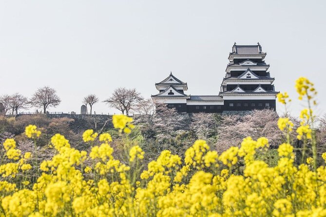Private Multiday Historical Tour in Ehime - Key Takeaways