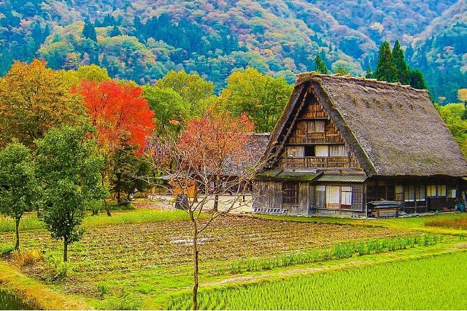 Private Tour: Shirakawa-Go & Takayama 1-Day Tour From Nagoya - Key Takeaways
