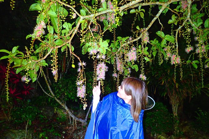 Sagaribana SUP / Canoe Tour in the Early Morning (Limited From June to August) - Key Takeaways