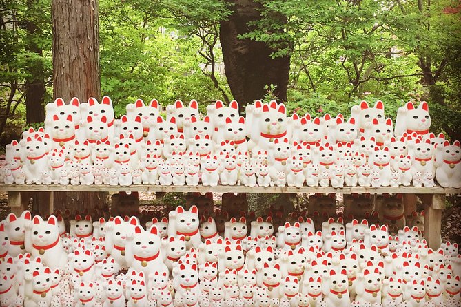 Setagaya Cat Tour! - Just The Basics