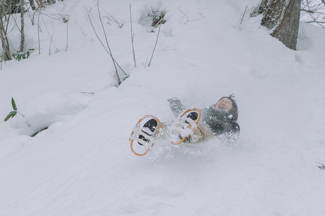 Shared Snowshoe Hiking Tour in Semboku - Key Takeaways