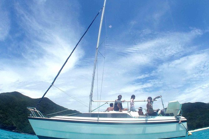 Swim With Sea Turtles at Kerama Islands - Key Takeaways