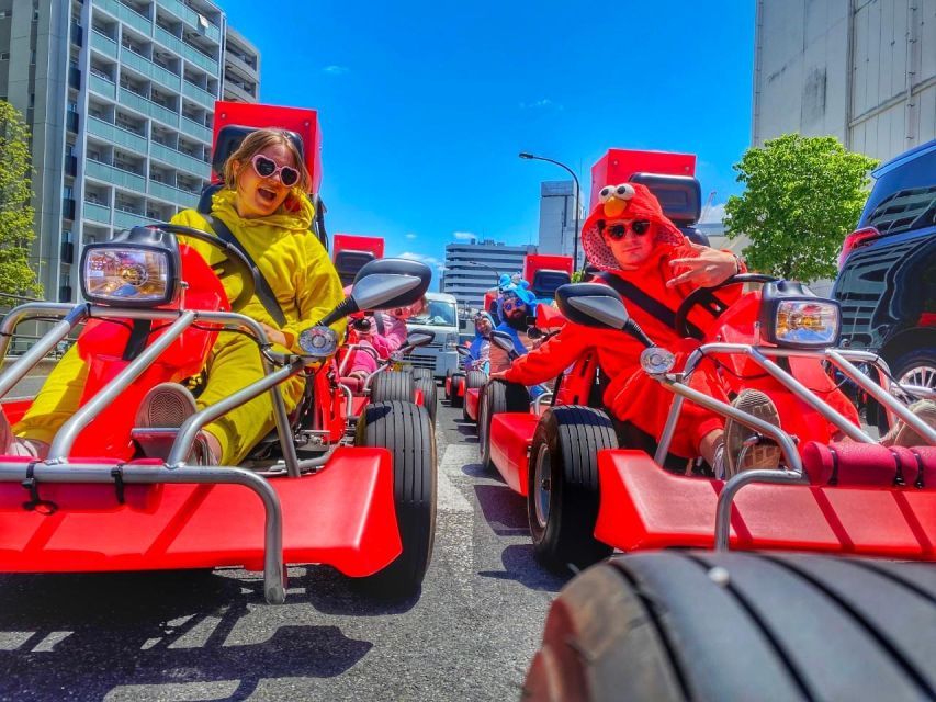 Tokyo: Guided Street Go-Karting Tour in Tokyo Bay - Key Takeaways