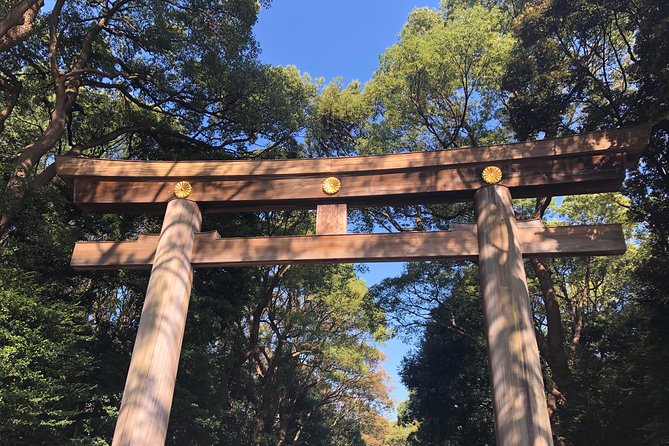 Tokyo Half-day Customized Private Tour - Just The Basics