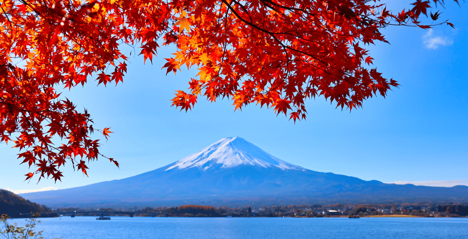 Tokyo: Mount Fuji and Lake Kawaguchi Scenic 1-Day Bus Tour - Highlights