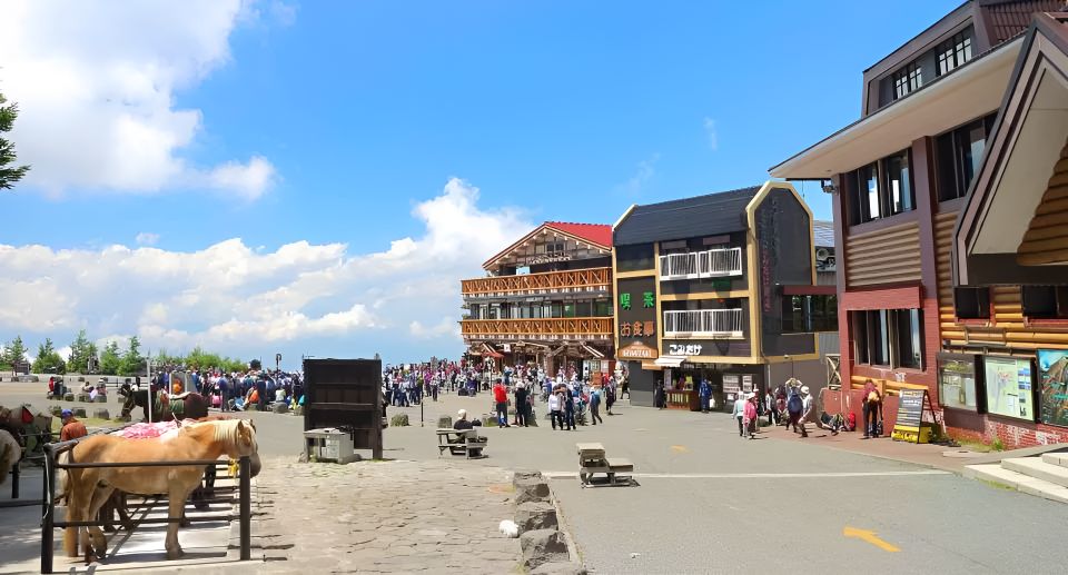 Tokyo: Mt. Fuji Festival, Ropeway, & Fruit Picking Day Trip - Key Takeaways