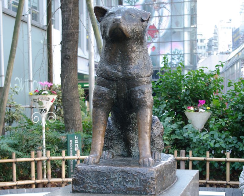 Tokyo: Shibuya Sightseeing With an Audio Guide - Key Takeaways