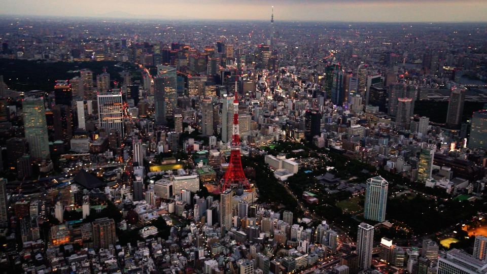 Tokyo Sightseeing Helicopter Tour for 5 Passengers - Just The Basics