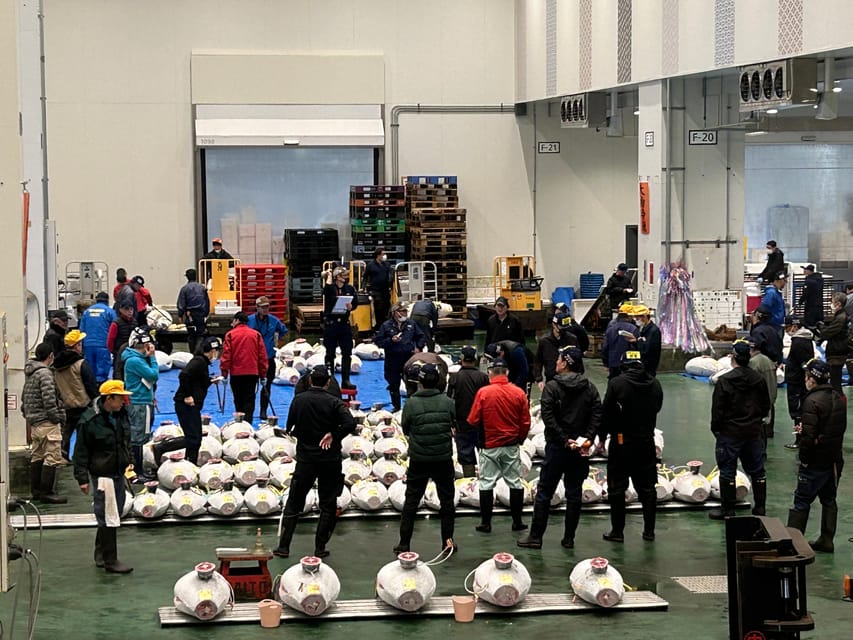 Toyosu Tuna Auction and Tsukiji Market by Gov Licensed Guide - Tour Details