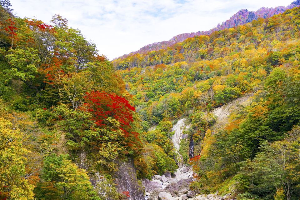 Welcome to Nagano: Private Tour With a Local - Key Takeaways