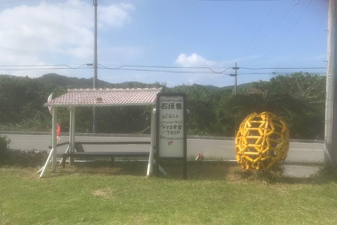 You Can Experience It Even on Rainy Days! Okinawa Herb Smudge Stick Making - Key Takeaways